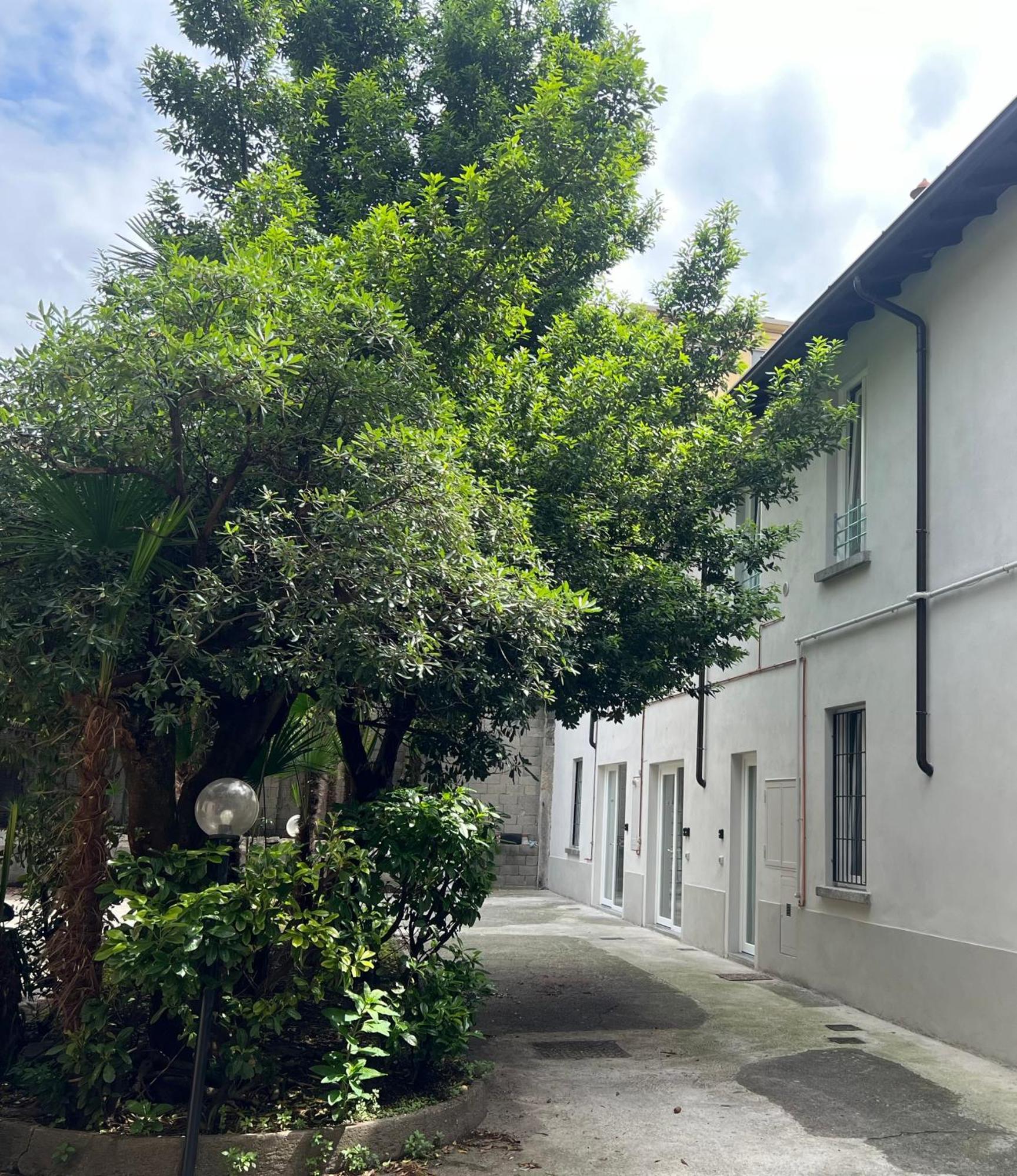 Meschihouse - Liberty 25 Lejlighed Lecco Eksteriør billede